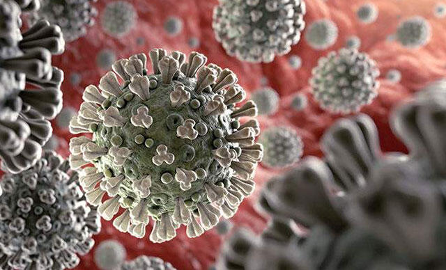 Dünya genelinde koronavirüs bilançosu: Can kaybı 873 bin 285'e yükseldi -  Son Dakika Dünya Haberi