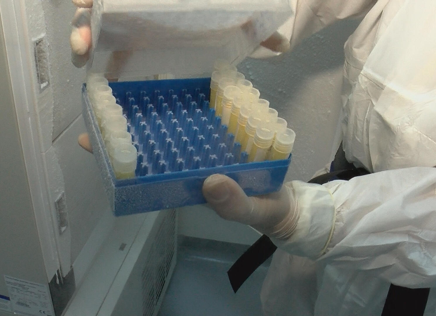 Koçak Farma’nın yerli aşısı mutant virüslere karşı da denenecek