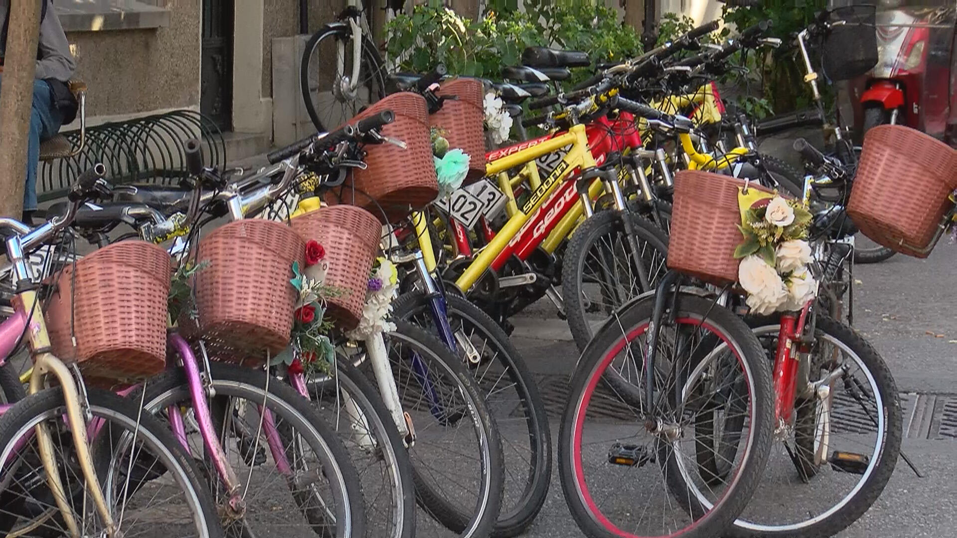 Adalarda akülü araçlara yasak gelince bisikletlere talep arttı
