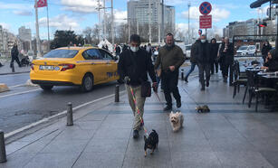 Walked at Taksim Square with a ferret on a leash; people were amazed