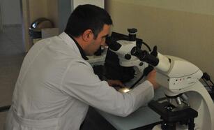 Gümüşhane Üniversitesi öğretim üyeleri, yeni 'otbiçen' türü keşfetti