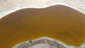 Her yıl pembeye bürünen göl, kahverengi oldu