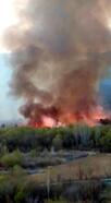 Ermenistan'da domuzları kaçırmak için yakılan ateşten çıkan orman yangını söndürüldü