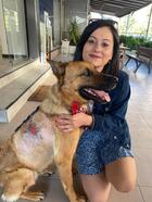 Kanser hastası sokak köpeğini 10 bin liraya tedavi ettirdi, yuva arıyor