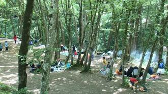 Belgrad Ormanı'na piknikçi akını