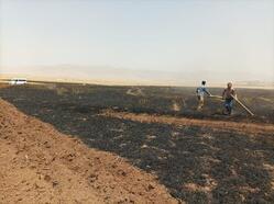 Mardin'de 30 dönüm ekili buğday yandı