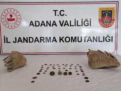 Adana'da, otomobilde mamut fosilleri ele geçirildi