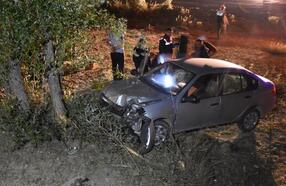 Yoldan çıkıp şarampoldeki ağaca çarpan otomobilin sürücüsü öldü