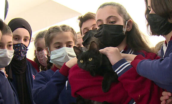 Stray cat found by students during recess became the school's mascot
