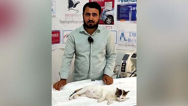 Doğum yapamayan kediyi imam kurtardı