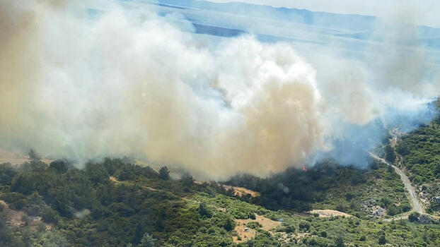 İzmir'de makilik ve orman yangını