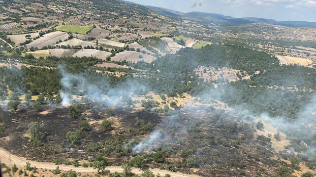 Manisa'daki orman yangını büyümeden söndürüldü