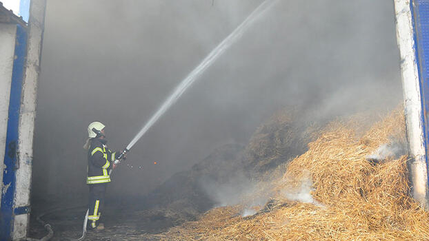 Manisa'da entegre tesiste çıkan yangında 350 ton saman küle döndü