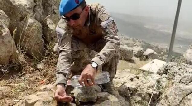 Üs bölgesinde görevli asker, kaplumbağaya elleriyle su verdi