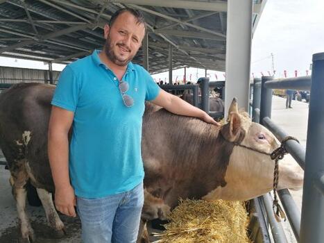 Silivri'de canlı hayvan pazarı açıldı