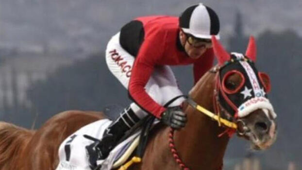Gazi Koşusu sırasında bileği kırılan atın jokeyi Tokaçoğlu "Talihsiz bir kaza"