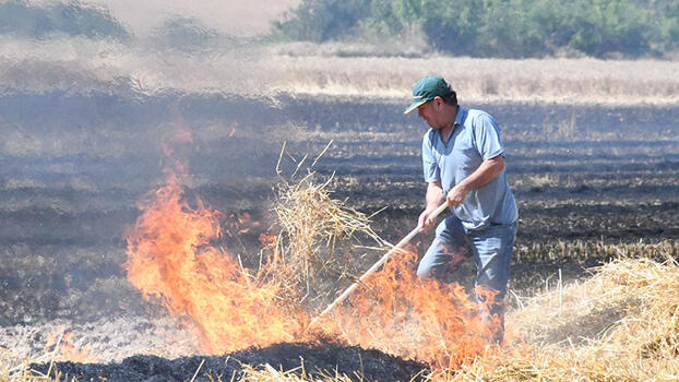 Tekirdağ’da 80 dönüm buğday tarlası yandı