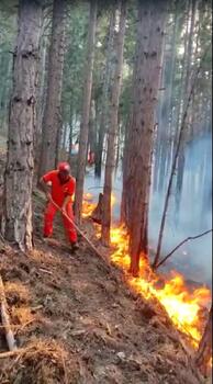 Mersin'de orman yangını 3'üncü gününde/ Ek Fotoğraflar