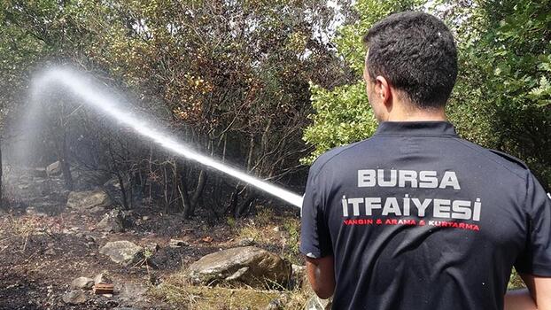 Bursa'da iki noktada orman yangını; kaplumbağayı alevlerden kurtardı
