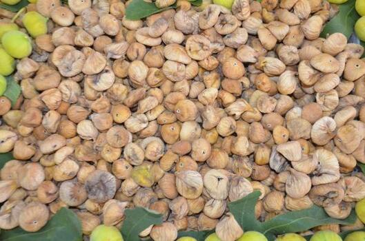 Sezonun ilk kuru inciri, kilosu 400 liradan alındı