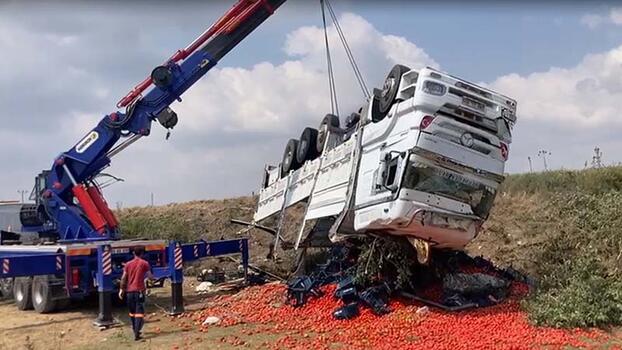 Adana'da domates yüklü kamyon şarampole devrildi