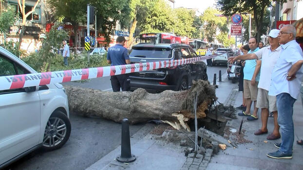 Sarıyer’de ağaç devrildi yol trafiğe kapandı