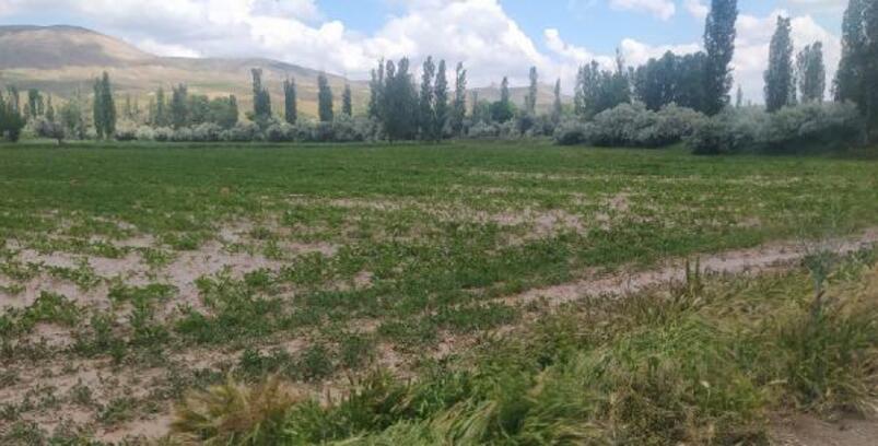 Sivas'ta 'sağanak' bilançosu; 3 bin 914 dekar ekili alanda zarar var