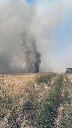Aynı mahallede 2 farklı yangın; traktör ve buğday arazisi yandı