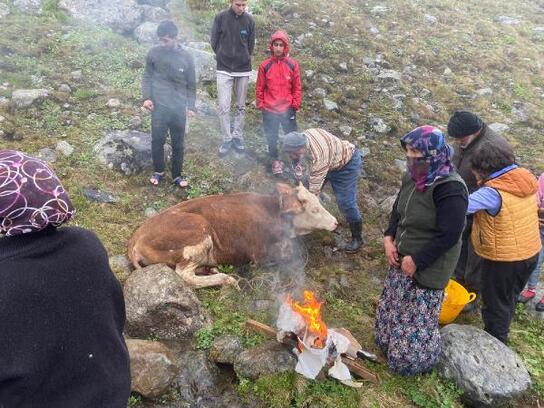 Dereye düşen inek kurtarıldı, yakılan ateşle ısıtıldı