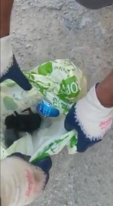 Poşet içerisinde 2 yavru kedi çöp konteynerinde bulundu
