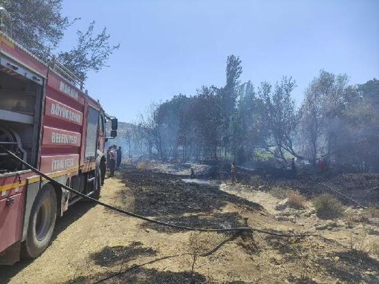 Mardin'deki yangında 25 hektar alan zarar gördü - Mardin Haberleri