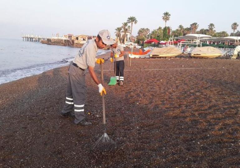 Antalya sahillerinde kirlilik alarmı