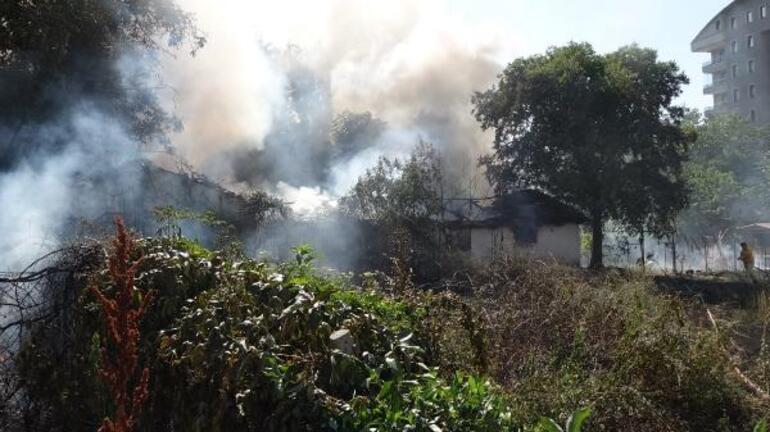 Çiftlikte korkutan yangın; 2 ahır kül oldu, sokak hayvanları öldü