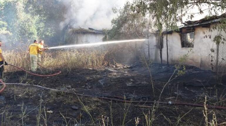 Çiftlikte korkutan yangın; 2 ahır kül oldu, sokak hayvanları öldü