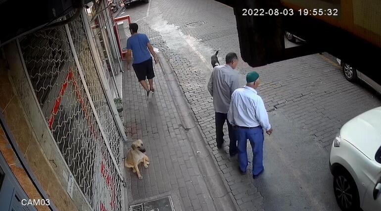 Sokak köpekleri bisikletlilere saldırdı; o anlar kamerada