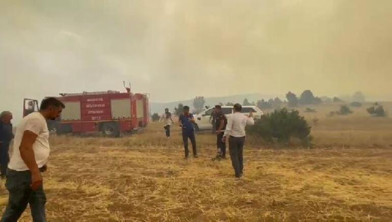 Erzincan’da orman yangını