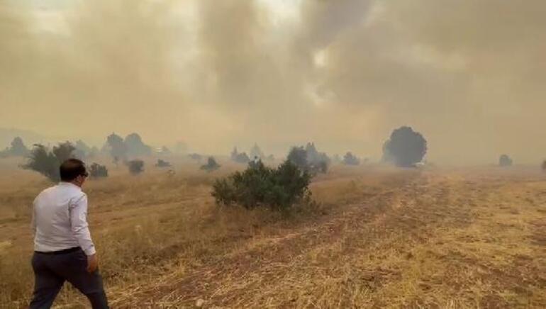 Erzincan’da orman yangını