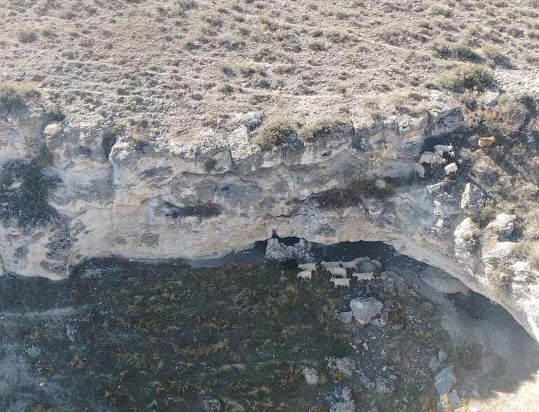 Jandarma, kaybolan 45 koyunu dronla buldu
