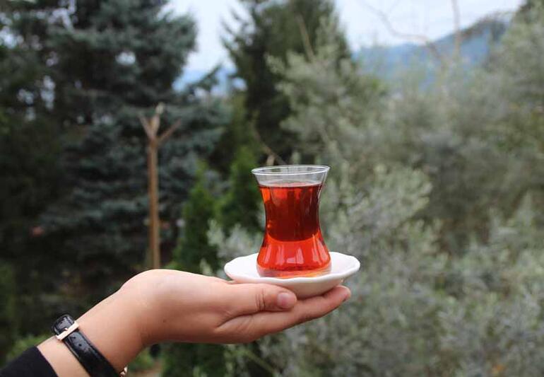 Türk çay kültürü, UNESCO listesinde