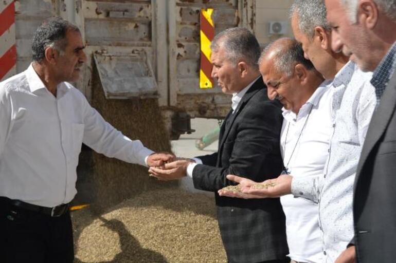 Mardin’de sezonun ilk arpa hasadı yapıldı, çiftçiye altın hediye edildi