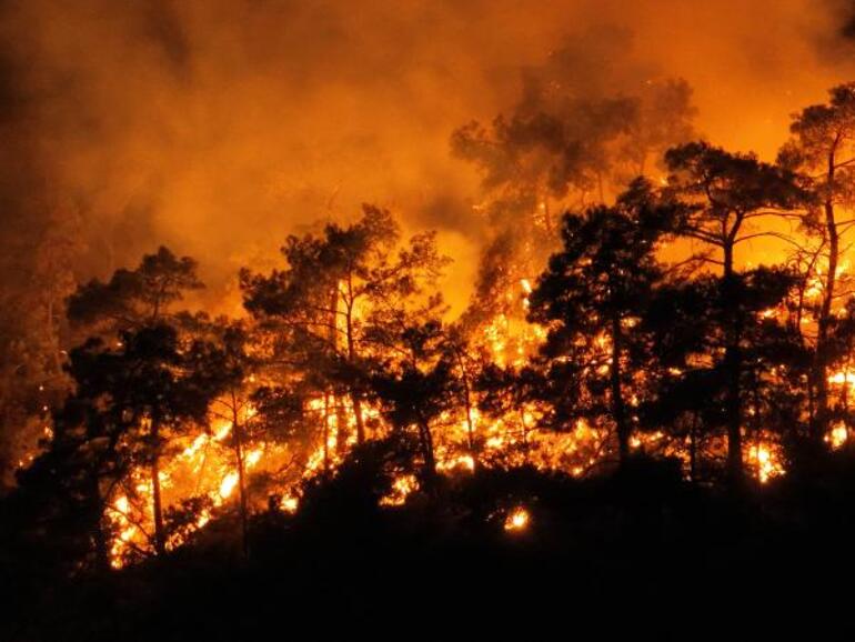 Kemerdeki orman yangınına havadan müdahale