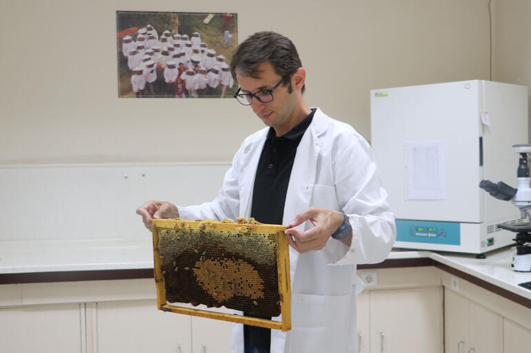 İklim değişikliği kaynaklı arı ölümlerine karşı eylem planı hazırlanmalı