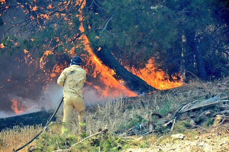 Çanakkaledeki orman yangınında 3üncü gün